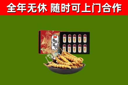 柏乡回收冬虫夏草价格